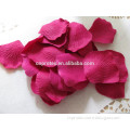 Fuchsia dried rose petal